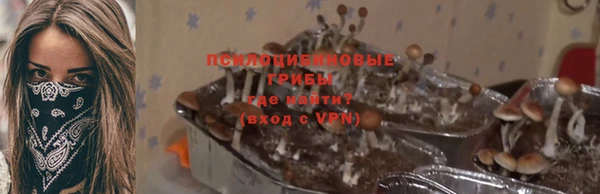 mdpv Магадан