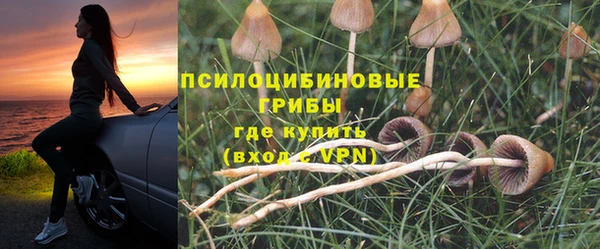 Альфа ПВП Магас