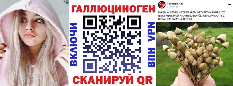 ОМГ ОМГ зеркало Красногорск Галлюциногенные грибы MAGIC MUSHROOMS магазин
