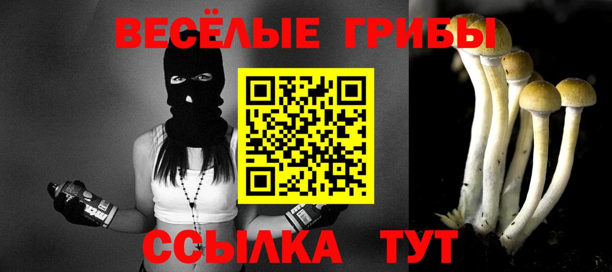 Галлюциногенные грибы ЛСД  купить  цена  Красногорск 