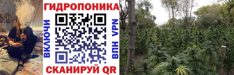 Конопля SATIVA & INDICA Красногорск