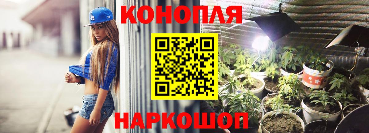 Бошки марихуана тримм  Канабис индика  Бошки Шишки марихуана  Красногорск  Бошки марихуана семена  Вход с VPN 